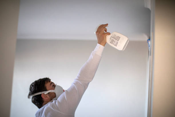 Best Mold Removal Near Me  in Islandia, NY