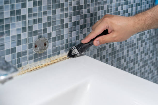 Best Emergency Mold Removal  in Islandia, NY