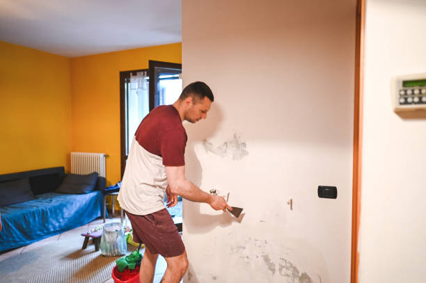 Best Home Mold Removal  in Islandia, NY